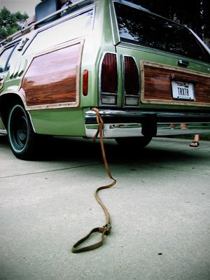 truckster_dog_leash.jpg