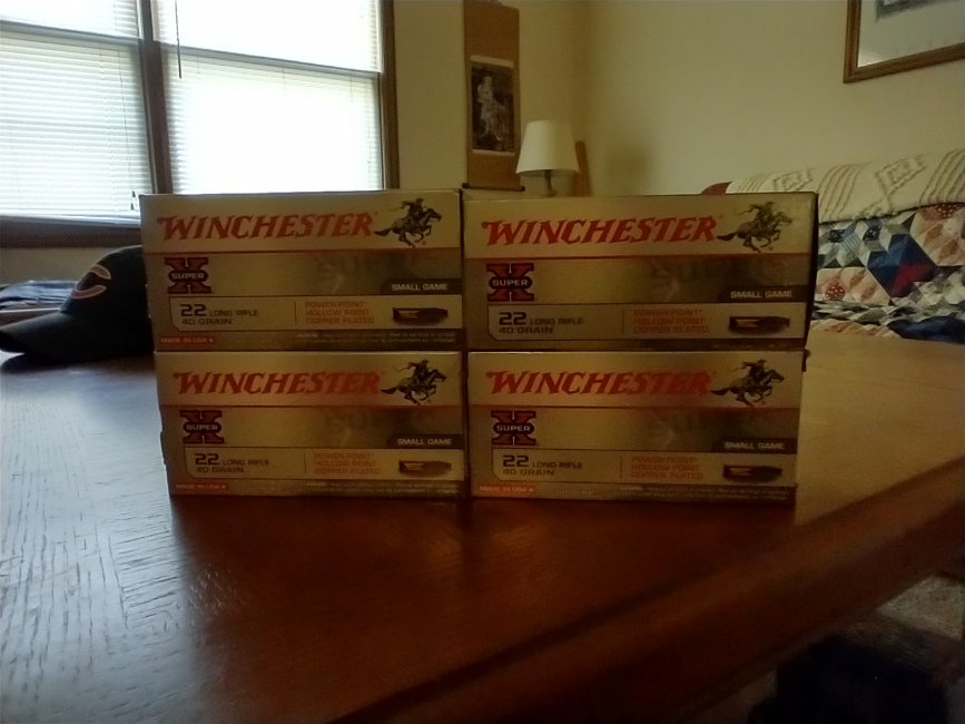 Winchester 22.jpg