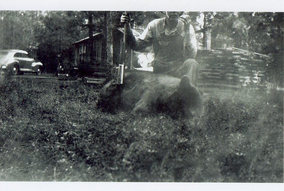 Grandad and the bear 1944 45 001.jpg