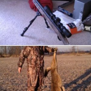 yote 2011