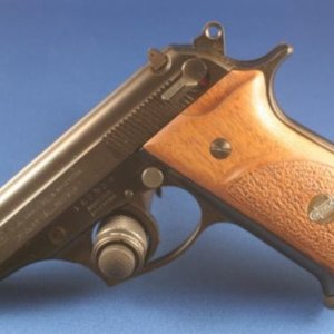 Bersa 85