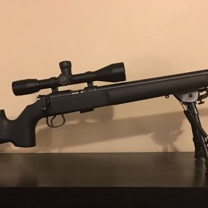 CZ455 Bushnell 3200 10x INGO