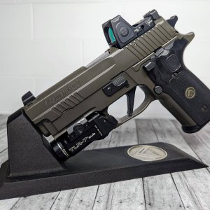 p229-legion-on-stand~2.jpg