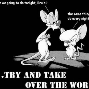 Pinky and Brain