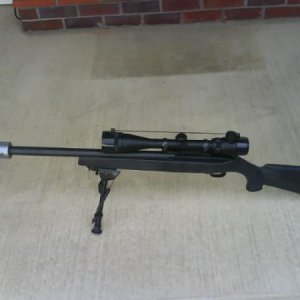 Ruger 10/22