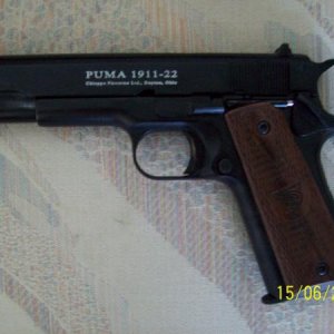 AK47, Puma 1911, Taurus Model 92,  22LR's 005