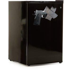 fridgegun