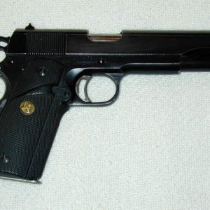 45 ACP