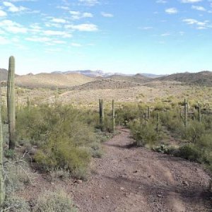 Trip to Tonto National Forest in a Jeep