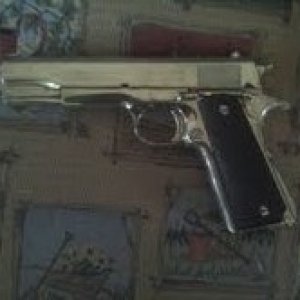 colt