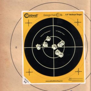 Mosin 50 Yard Target