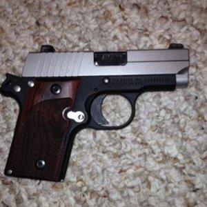 Sig P238