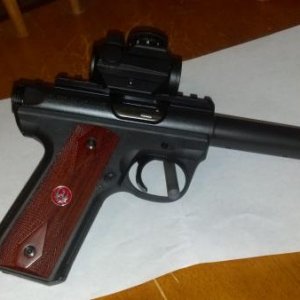 Ruger 22/45