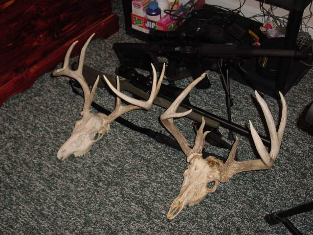 2 small 2 mount 052