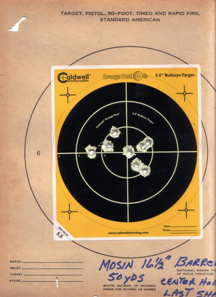 Mosin 50 Yard Target