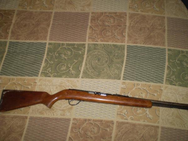 Savage Arms Springfield model 187N  .22