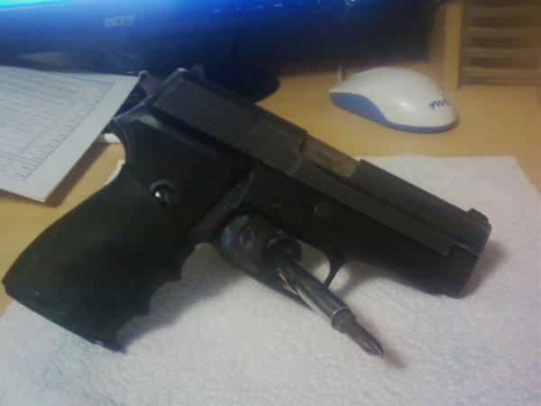 sig p225