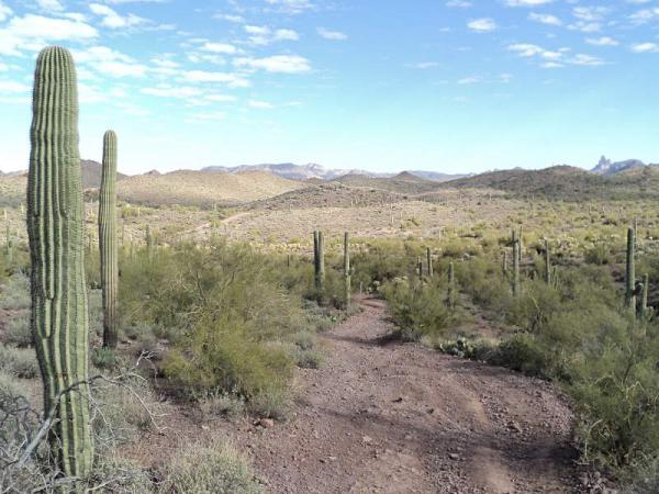 Trip to Tonto National Forest in a Jeep