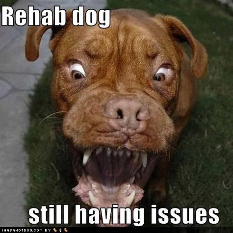 funny-dog-pictures-rehab-dog-has-issues.jpg