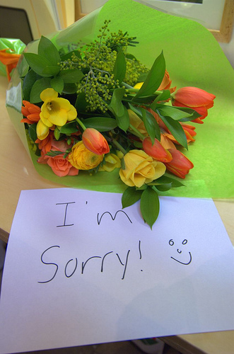 im-sorry-flowers1.jpg