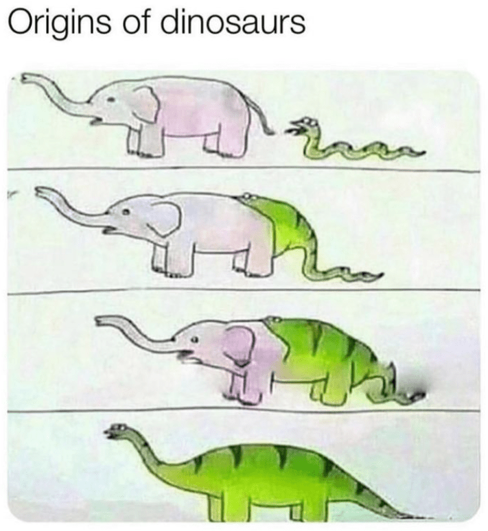 animal-origins-dinosaurs-h-een-23