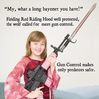 23bbc15f4c6a6a3fde42eb83fdebbdba--gun-control-meme-girl-guns.jpg