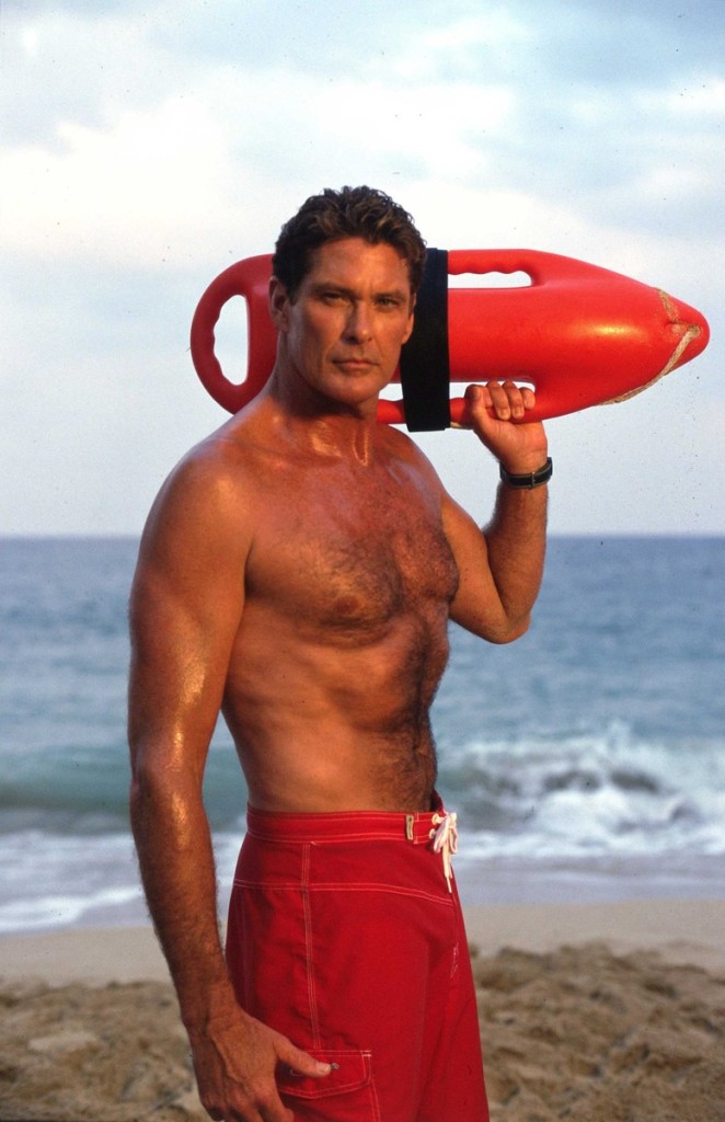 david-hasselhoff-3-662x1024.jpg