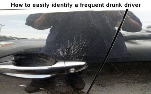 Frequent_Drunk_Driver.jpg