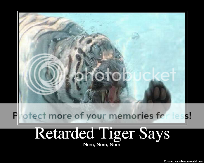 RetardedTigerSays.png