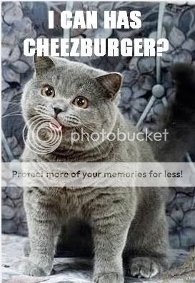 cheezburger.jpg