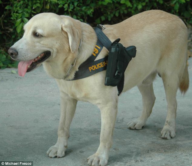 dog-with-gun.jpg