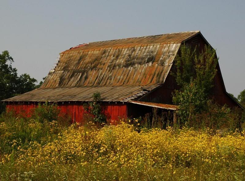 barn.jpg