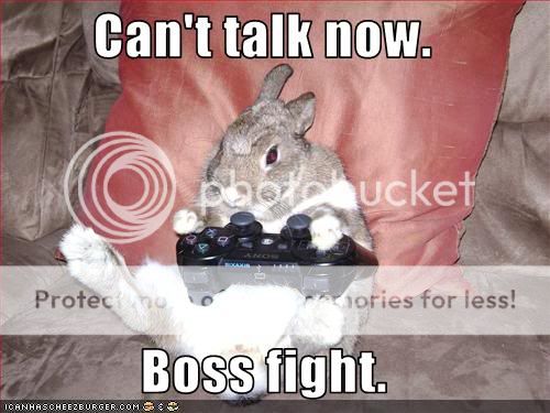 funny-pictures-rabbit-plays-video-g.jpg