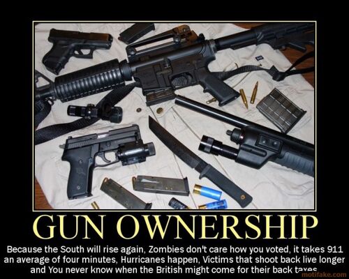 500px-Gun-ownership-demotivational-poster.jpg