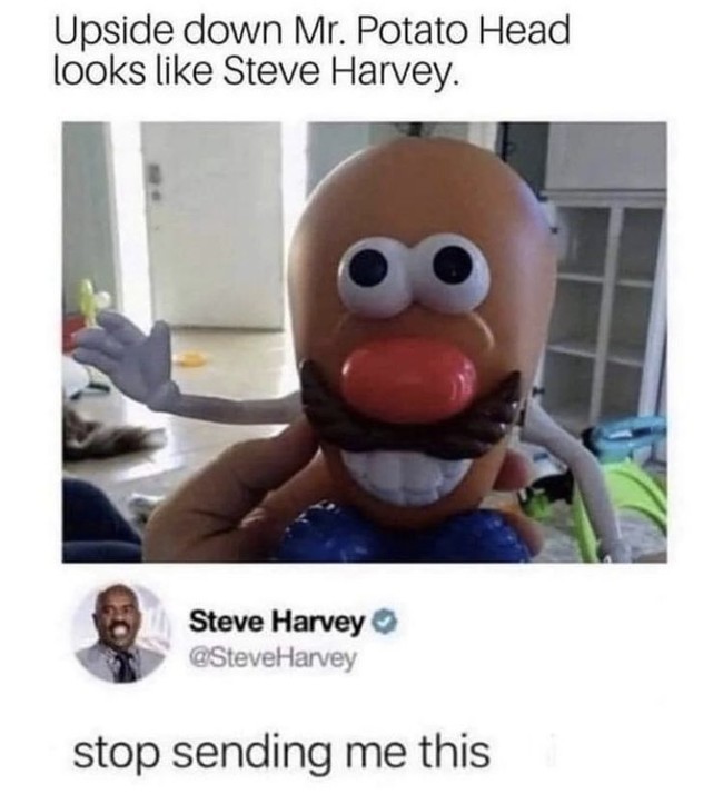 steve.jpeg