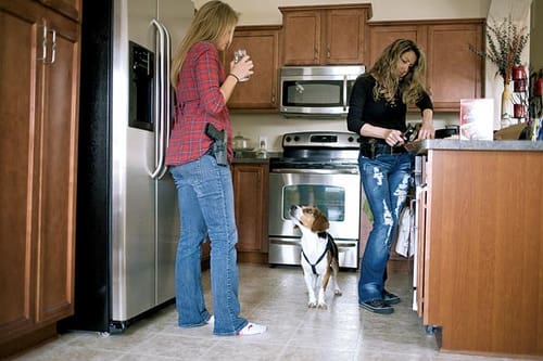 Open-carry-home-carry-courtesy-forum.opencarry.org_.jpg