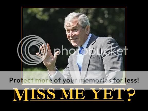 bush.jpg