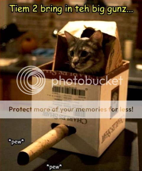 funny-pictures-cat-fortress-gun.jpg