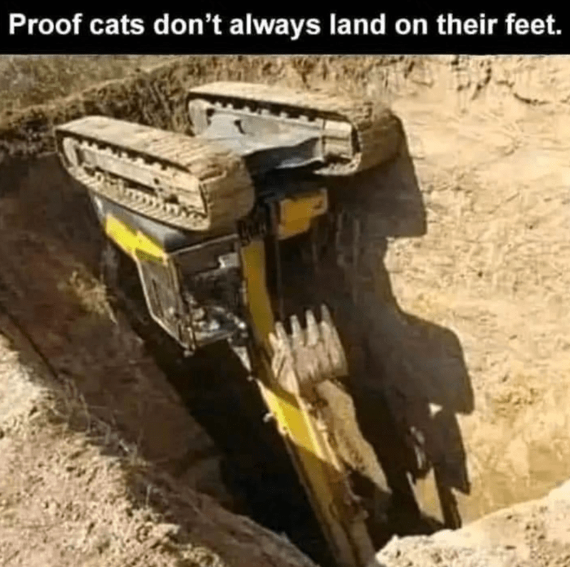 proof-cats-dont-always-land-on-their-feet