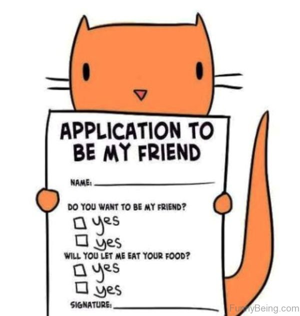 Application-To-Be-My-Friend.jpg