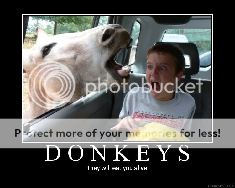 MotivationalPosters-Donkeys.jpg