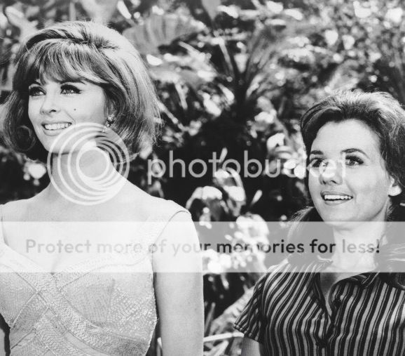 Dawn-wells-tina-louise.jpg