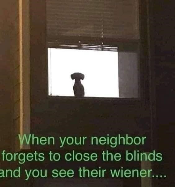 animal-neighbor-forgets-close-blinds-and-see-their-wiener