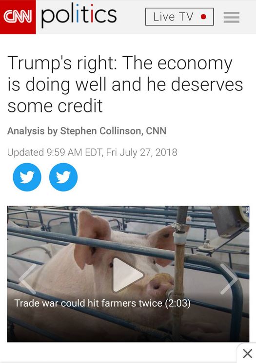 cnn.jpg