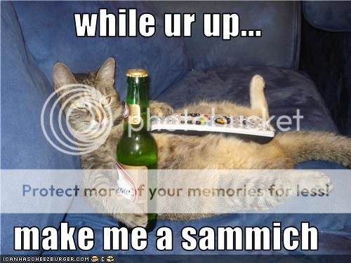 sammich_zpsed8d29eb.png