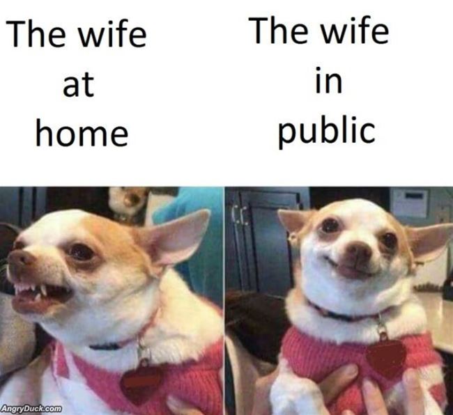 The_Wife_At_Home_And_Public.jpg