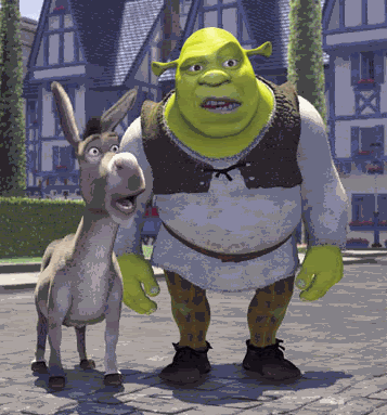 shrek_and_donkey.gif