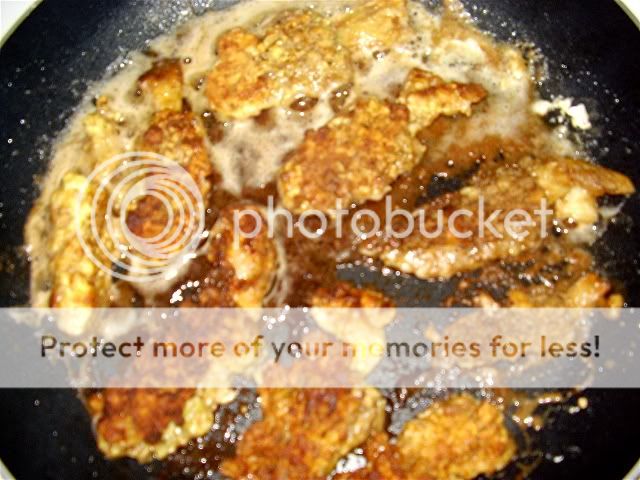 Morels02.jpg