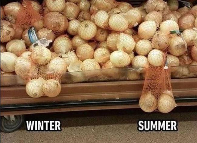 Winter_Vs_Summer3870.jpg