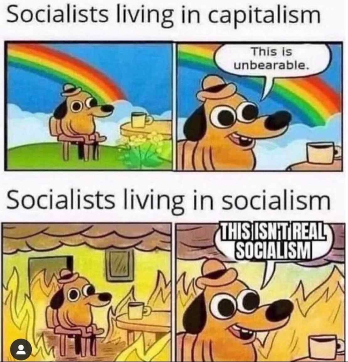 socialism-1110x1156.jpeg